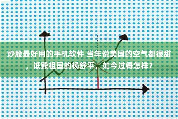 炒股最好用的手机软件 当年说美国的空气都很甜，诋毁祖国的杨舒平，如今过得怎样？