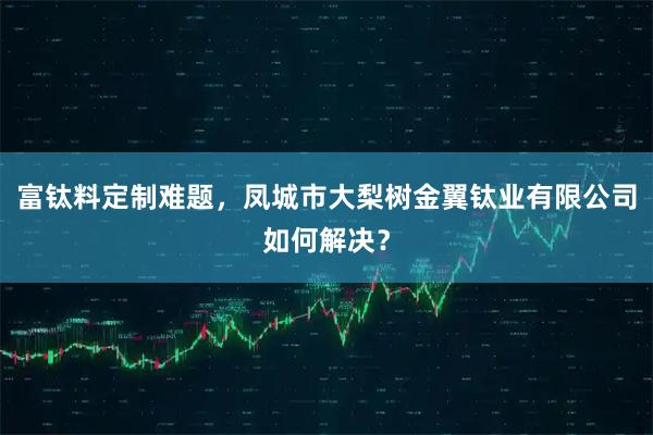 富钛料定制难题，凤城市大梨树金翼钛业有限公司如何解决？