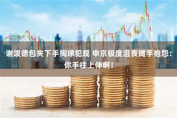 谢泼德包夹下手掏球犯规 申京极度沮丧摊手抱怨：你手往上伸啊！