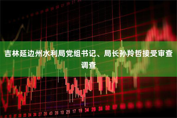 吉林延边州水利局党组书记、局长孙羚哲接受审查调查